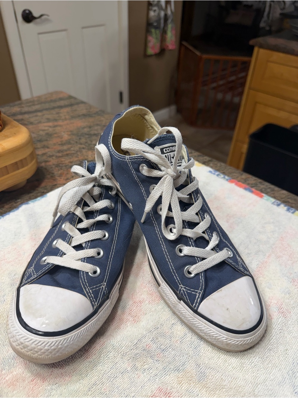 Converse Low Top Sneakers in Navy and White